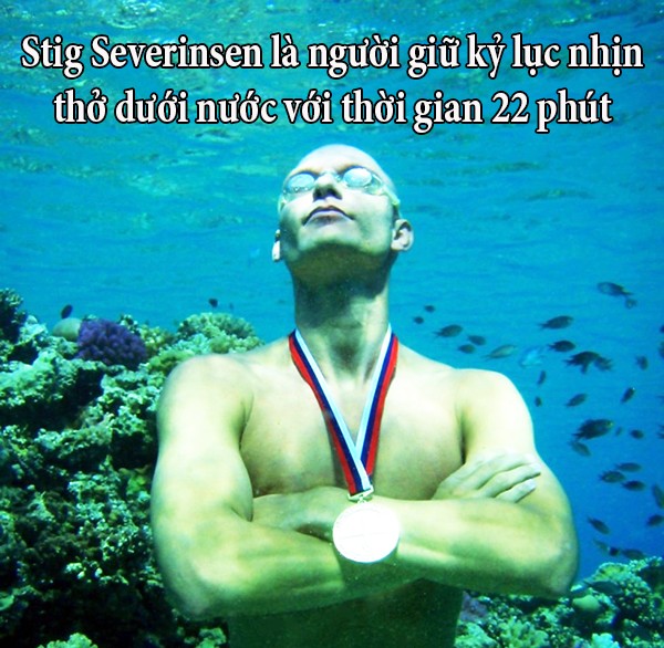 funfact về con người